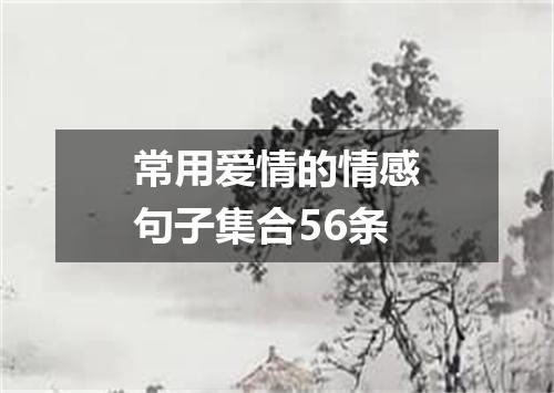 常用爱情的情感句子集合56条