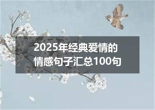 2025年经典爱情的情感句子汇总100句