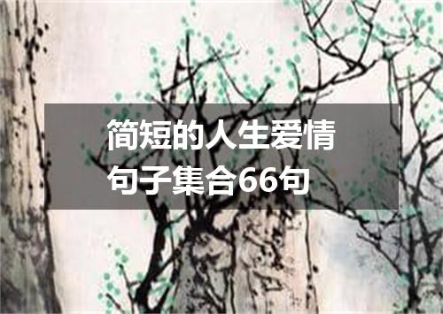 简短的人生爱情句子集合66句