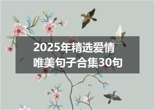 2025年精选爱情唯美句子合集30句