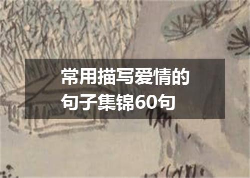 常用描写爱情的句子集锦60句