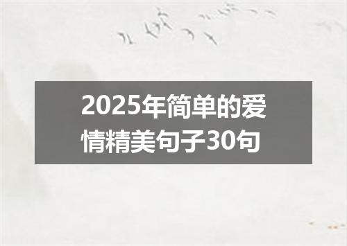 2025年简单的爱情精美句子30句