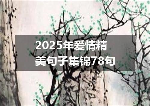 2025年爱情精美句子集锦78句