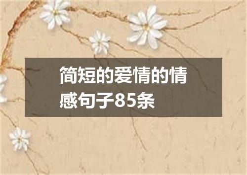 简短的爱情的情感句子85条