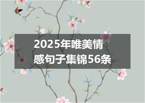 2025年唯美情感句子集锦56条