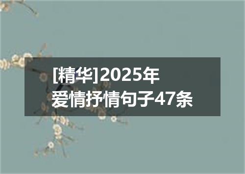 [精华]2025年爱情抒情句子47条