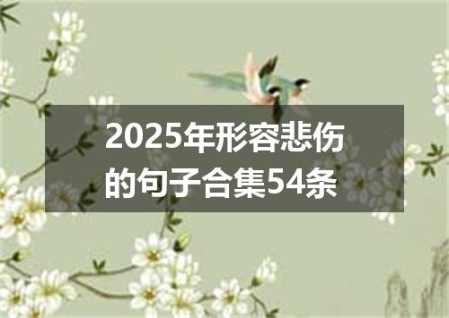 2025年形容悲伤的句子合集54条