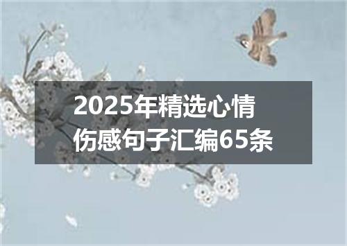 2025年精选心情伤感句子汇编65条