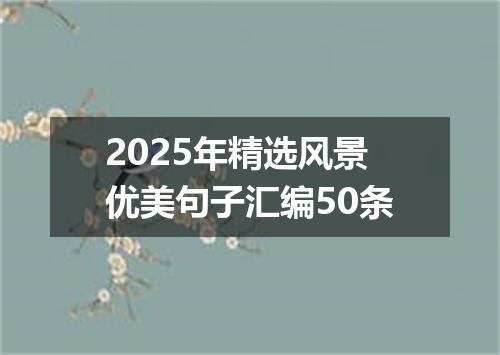 2025年精选风景优美句子汇编50条