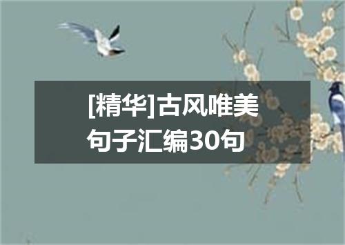 [精华]古风唯美句子汇编30句