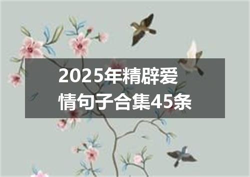 2025年精辟爱情句子合集45条