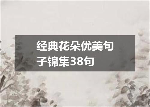 经典花朵优美句子锦集38句