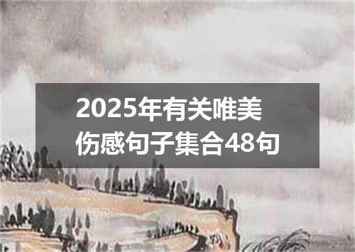 2025年有关唯美伤感句子集合48句
