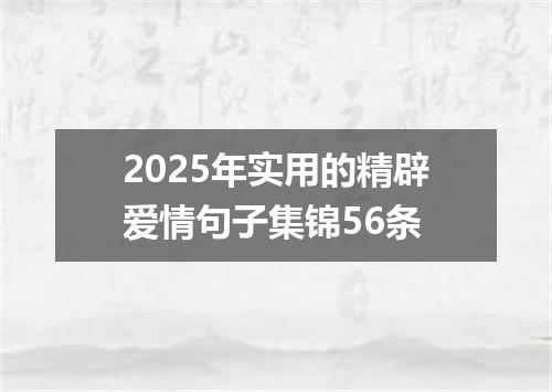2025年实用的精辟爱情句子集锦56条
