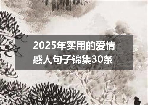 2025年实用的爱情感人句子锦集30条