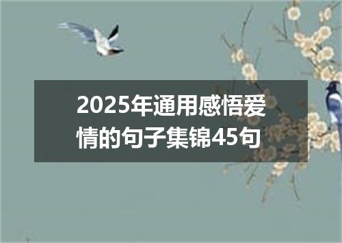 2025年通用感悟爱情的句子集锦45句