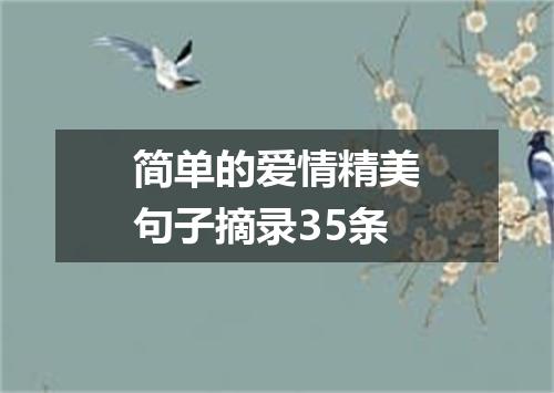 简单的爱情精美句子摘录35条