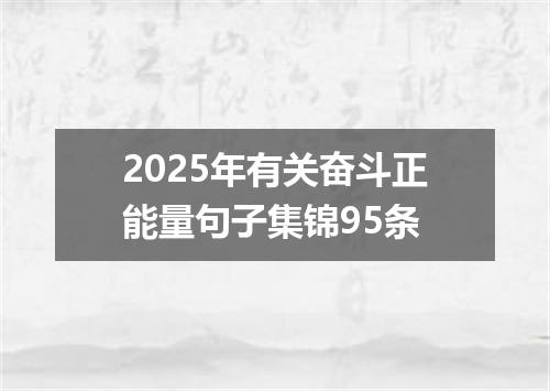 2025年有关奋斗正能量句子集锦95条
