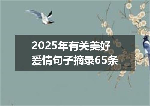 2025年有关美好爱情句子摘录65条