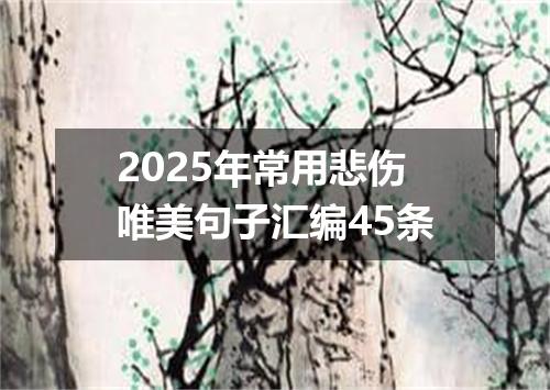 2025年常用悲伤唯美句子汇编45条