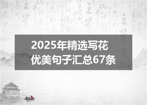 2025年精选写花优美句子汇总67条