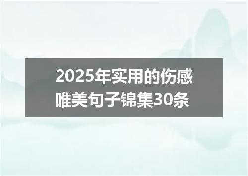 2025年实用的伤感唯美句子锦集30条