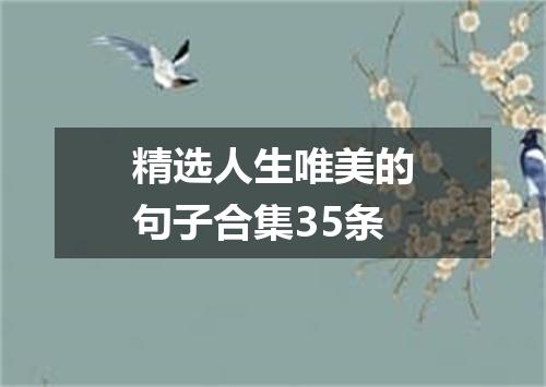 精选人生唯美的句子合集35条