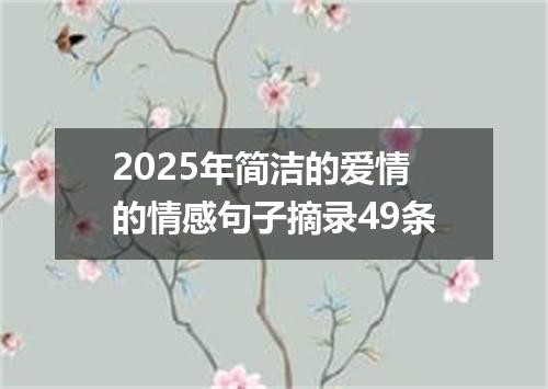 2025年简洁的爱情的情感句子摘录49条