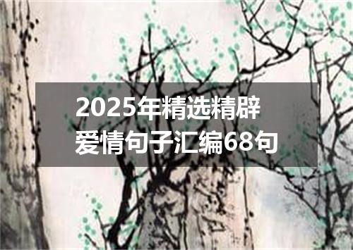 2025年精选精辟爱情句子汇编68句