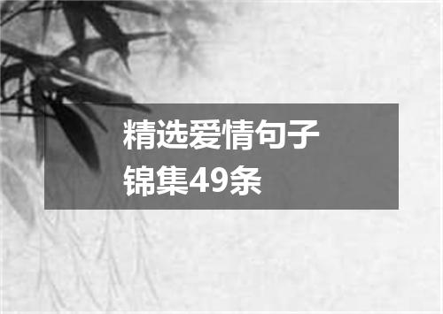精选爱情句子锦集49条