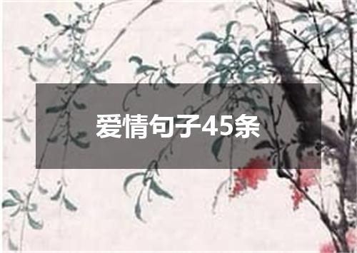 爱情句子45条