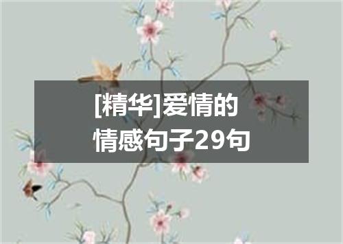 [精华]爱情的情感句子29句