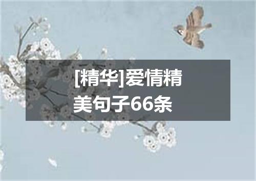 [精华]爱情精美句子66条