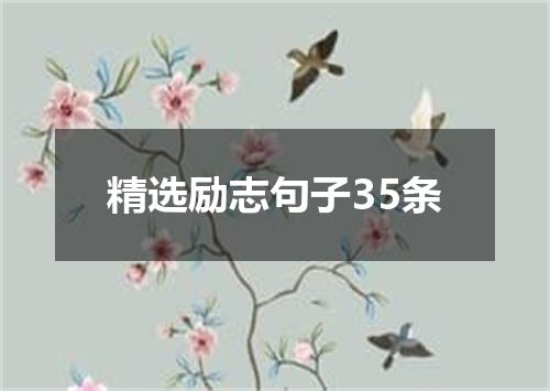 精选励志句子35条