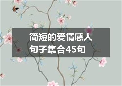 简短的爱情感人句子集合45句