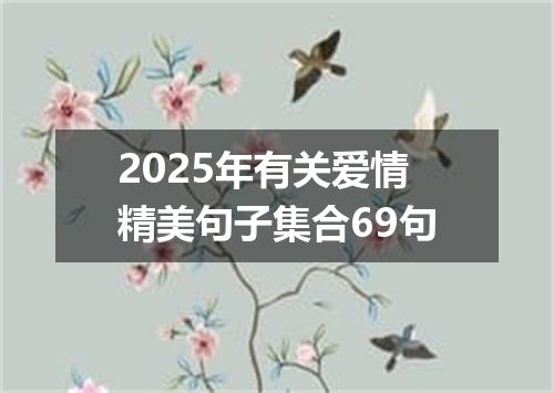 2025年有关爱情精美句子集合69句
