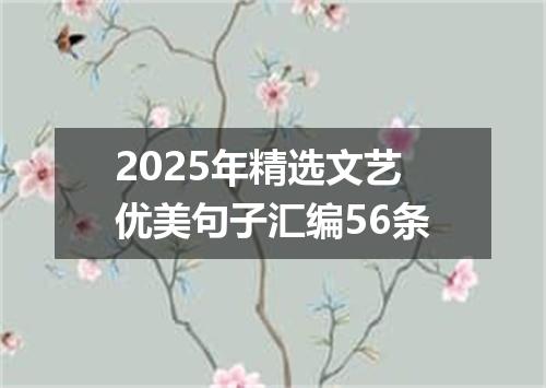 2025年精选文艺优美句子汇编56条