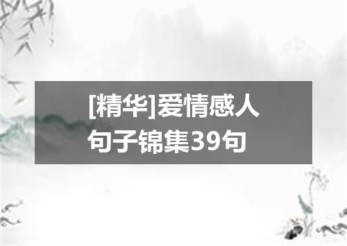 [精华]爱情感人句子锦集39句