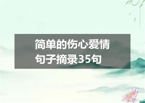 简单的伤心爱情句子摘录35句