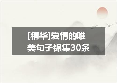 [精华]爱情的唯美句子锦集30条