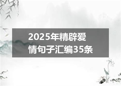 2025年精辟爱情句子汇编35条
