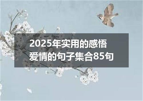 2025年实用的感悟爱情的句子集合85句