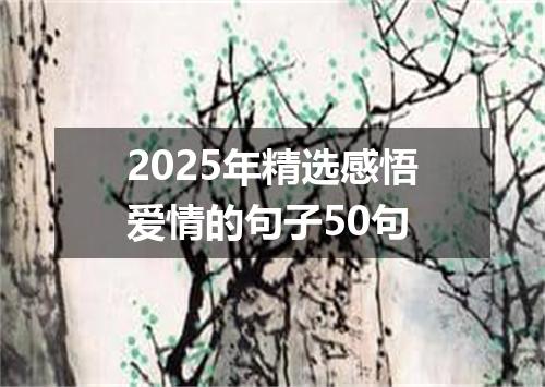 2025年精选感悟爱情的句子50句