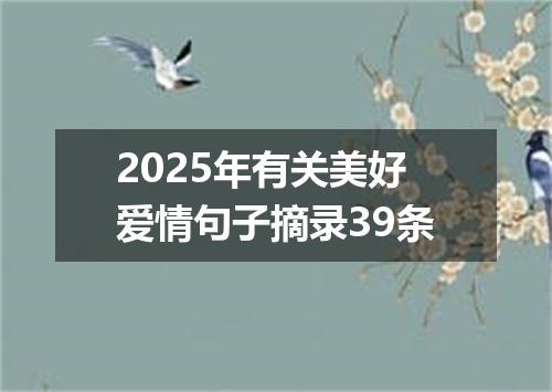 2025年有关美好爱情句子摘录39条