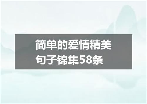 简单的爱情精美句子锦集58条
