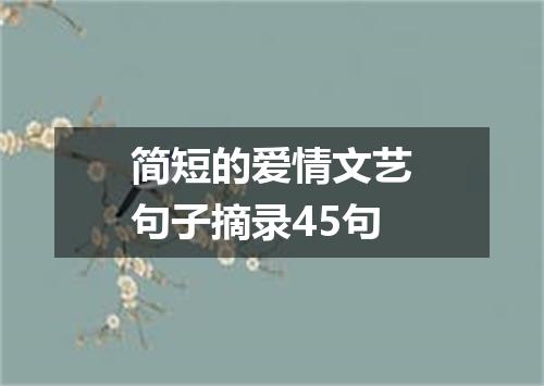简短的爱情文艺句子摘录45句