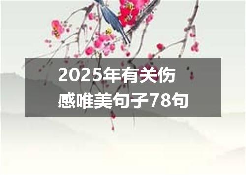 2025年有关伤感唯美句子78句