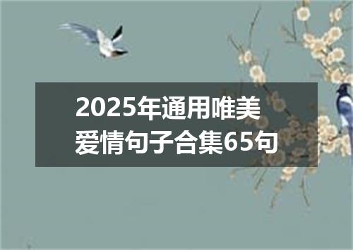 2025年通用唯美爱情句子合集65句