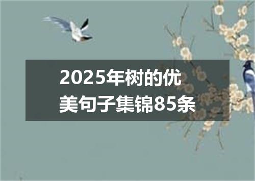 2025年树的优美句子集锦85条