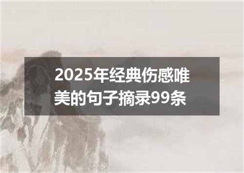 2025年经典伤感唯美的句子摘录99条